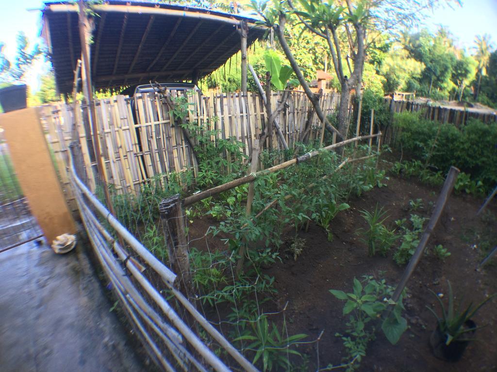 Jeges Homestay Senggigi Eksteriør billede